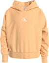 Calvin Klein CK LOGO BOXY HOODIE Kadın Turuncu Hoodie