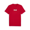 Puma GRAPHIC Tee Erkek T-Shirt & Polo