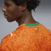 Puma FIF Home Jersey Replica Turuncu Erkek Forma
