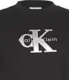 Calvin Klein SS CLASSIC MONOLOGO METALLIC CNE Kadın Siyah T-Shirt