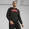 Puma F1 ESS Logo Hoodie Siyah Erkek Sweatshirt