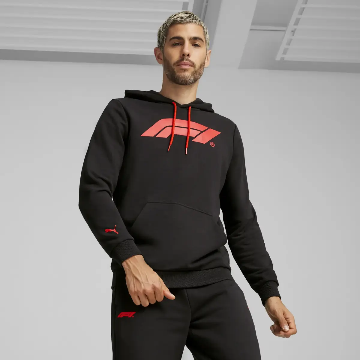 Puma F1 ESS Logo Hoodie Siyah Erkek Sweatshirt