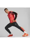 Puma İndividualfınal Wc 1/4 Zip Top Kırmızı Erkek Fermuarlı Futbol Üst
