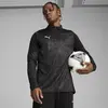 Puma teamCUP Training 1/4 Zip Top Siyah Erkek Eşofman Üst
