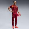 Puma GSK Training Jersey GALATASARAY Erkek Antrenman Forması