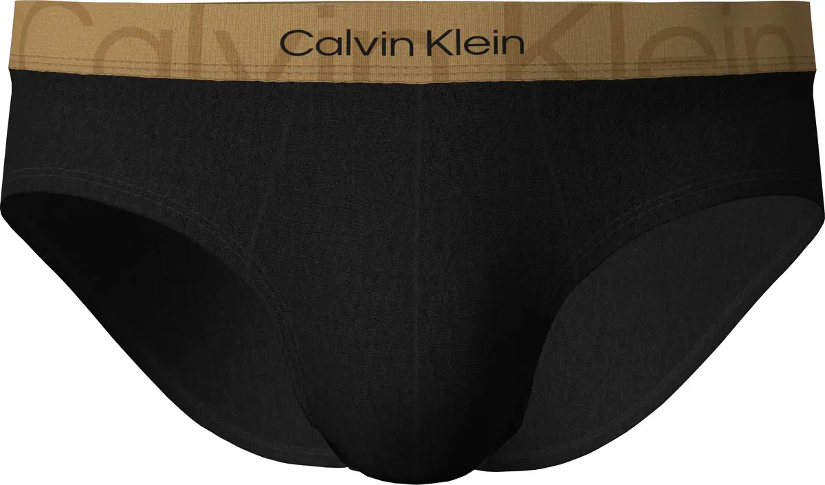 Calvin Klein HIP BRIEF Erkek Siyah Slip
