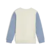 Puma LITTLE RUNNERS Crew Erkek Sweatshirt