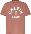 Calvin Klein SS 20S LN CALVIN COLLEGE GRAPHIC Erkek Turuncu T-Shirt