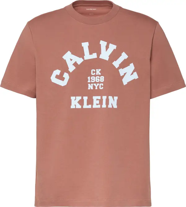 Calvin Klein SS 20S LN CALVIN COLLEGE GRAPHIC Erkek Turuncu T-Shirt