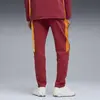 Puma GSK EVOSTRIPE Pants Kırmızı Erkek Eşofman Altı