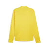 Puma teamGOAL Training Jacket Sarı Erkek Antrenman Ceketi