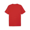 Puma GRAPHICS Sumer Sports Tee Kırmızı Erkek T-Shirt & Polo