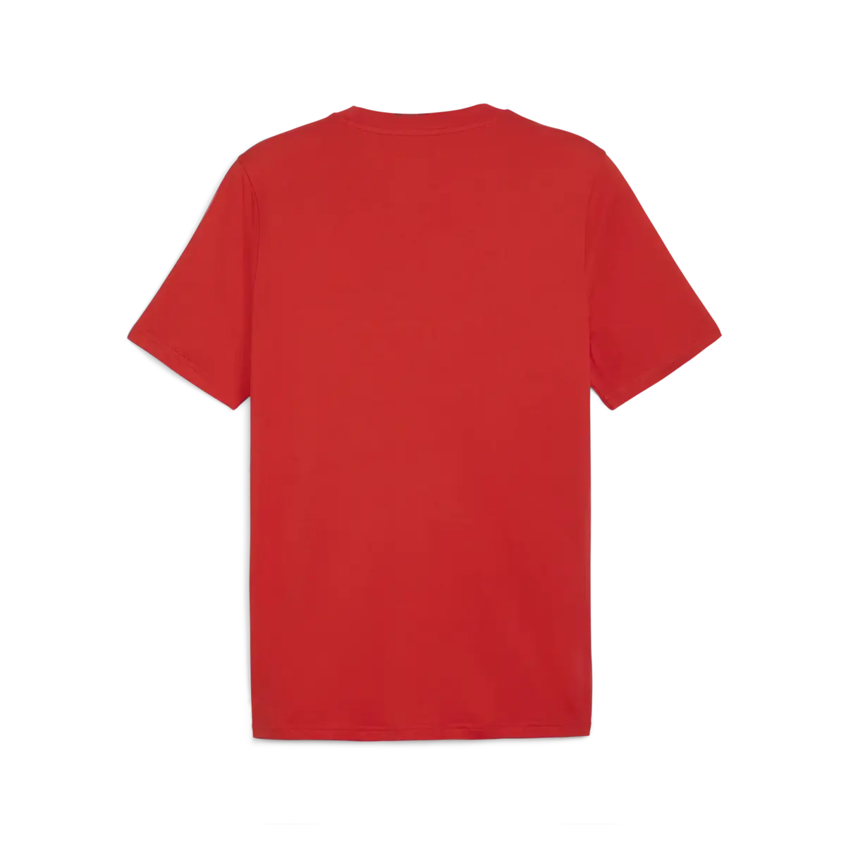 Puma GRAPHICS Sumer Sports Tee Kırmızı Erkek T-Shirt & Polo