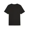 Puma TEAM Graphic Tee Siyah Erkek T-Shirt