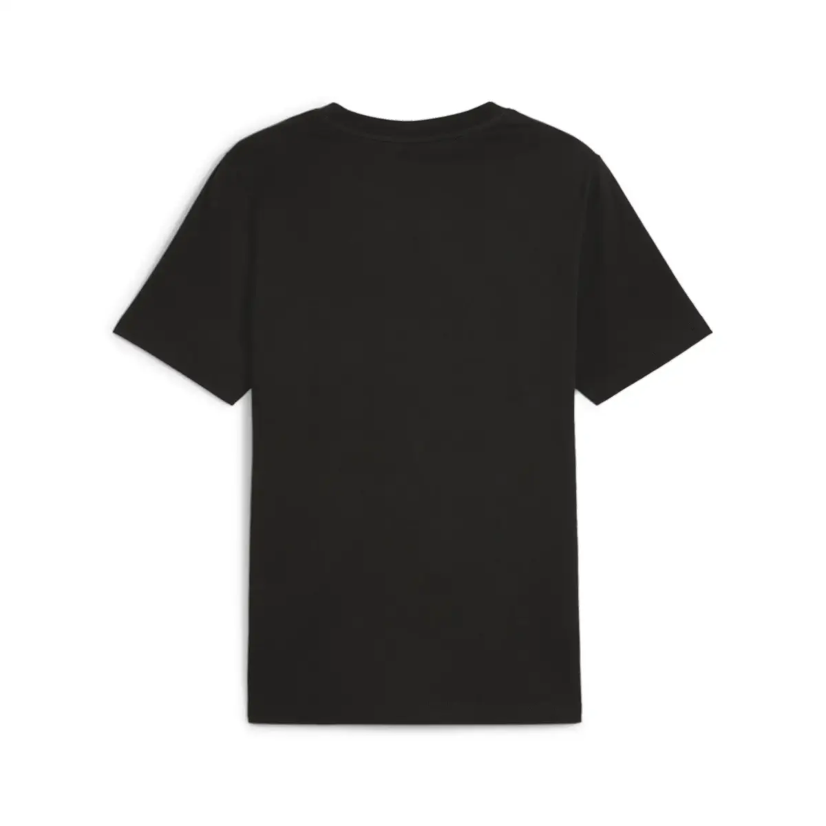 Puma TEAM Graphic Tee Siyah Erkek T-Shirt