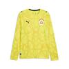 Puma GSK GK Jersey LS GALATASARAY 26/27 Erkek Kaleci Forması