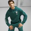PUMA X STAPLE Hoodie Yeşil Erkek Hoodie