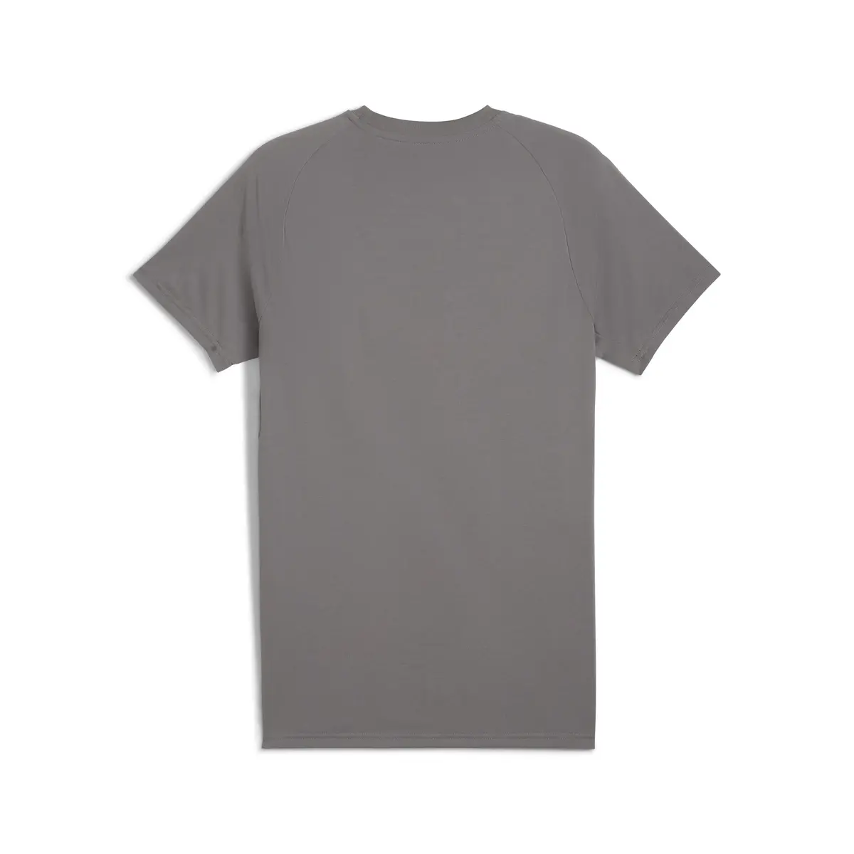 PUMA EVOSTRIPE Tee Gri Erkek T-Shirt