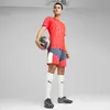 PUMA ATTACANTO FG/AG Siyah Erkek Krampon