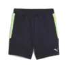 Puma EVOSTRIPE Shorts DK Erkek Şort