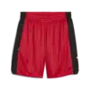 Puma Rival Rage Heritage Short Siyah Erkek Şort