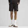 Puma EVOSTRIPE Shorts Siyah Erkek Şort