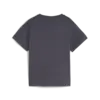 Puma X TROLLS Graphic Tee Gri Erkek T-Shirt & Polo