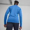 Puma teamGOAL Training 1/4 Zip To Mavi Erkek Fermuarlı Antrenman Üstü