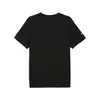 Puma AMG Logo Tee Siyah Erkek T-Shirt