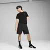 PUMA EVOSTRIPE Shorts Siyah Erkek Şort