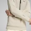 PUMATECH Half-Zip Hoodie Bej Erkek Hoodie