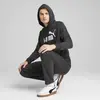 PUMA ESS No. 1 Logo Hoodie Siyah Erkek Sweatshirt