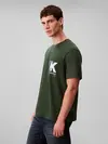 Calvin Klein SS 20S EU CK OVERLAP Yeşil Erkek Tişört