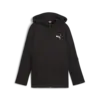 EVOSTRIPE FZ Hoodie DK