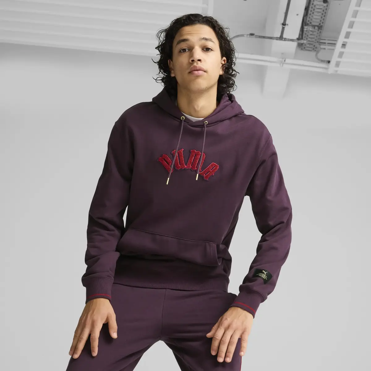 Puma CLASSICS PLAY.PARIS. Hoodie Mor Erkek Hoodie