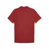Puma GSK EVOSTRIPE Polo Kırmızı Erkek Polo T-Shirt
