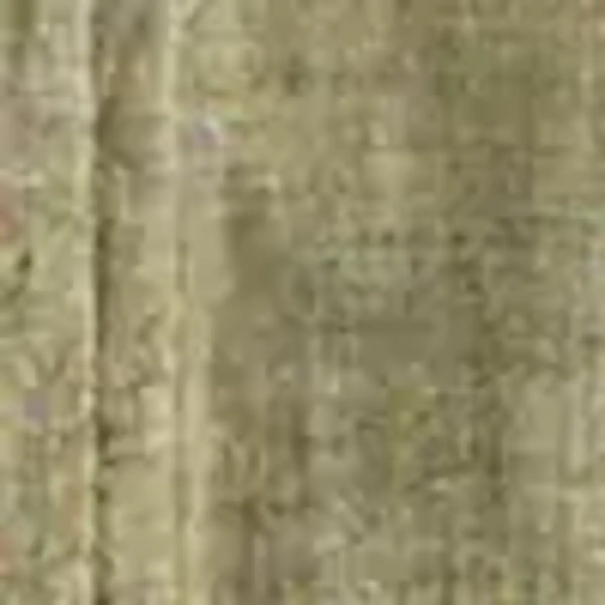 Tommy Hilfiger PIGMENT DYED LI SOLI, PLI Yeşil Erkek Gömlek