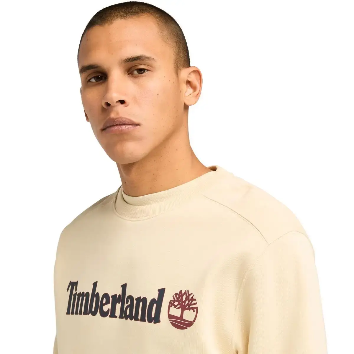 Timberland KENNEBEC RIVER Linear Logo Crew Neck Swe Bej Erkek Sweatshirt & Hoodie