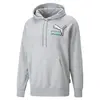 Puma Fandom Hoodie Gri Erkek Hoodie