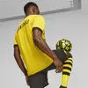 Puma BVB Home Jersey Sarı Erkek Takım Forması