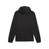 Puma PUMA FIT PWRFleece Hoodie Siyah Erkek Hoodie