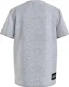 Calvin Klein INSTITUTIONAL T-SHIR Erkek Gri T-Shirt
