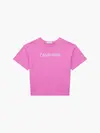 Calvin Klein INSTITUTIONAL LOGO B Kadın Pembe T-Shirt