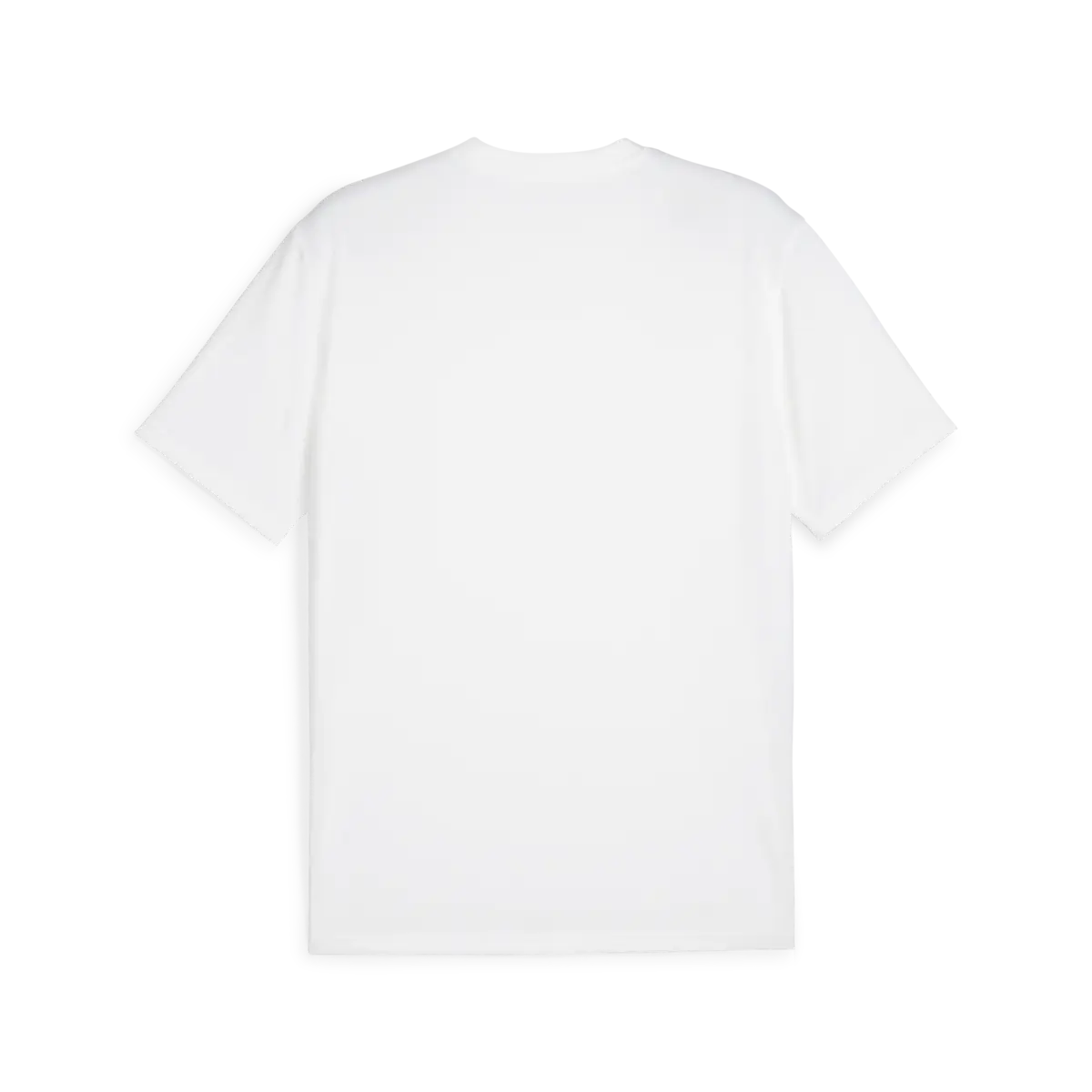 Puma teamGOAL  Jersey Beyaz Erkek T-Shirt