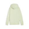 Puma ESS Small Logo Relaxed Hoodi Kadın Sweatshirt