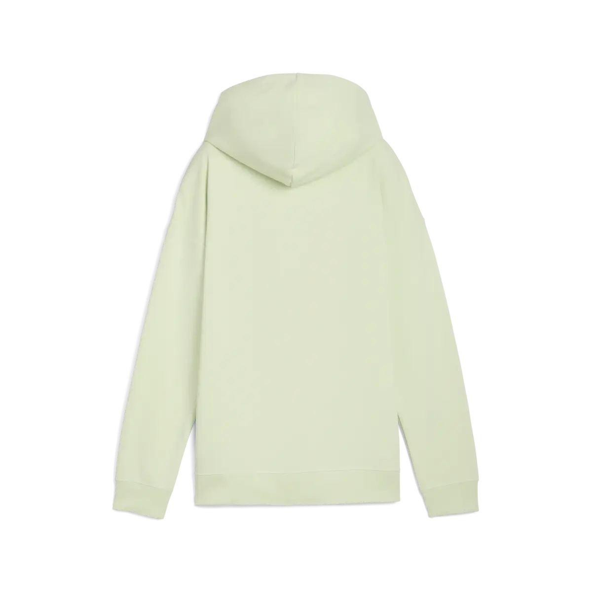 Puma ESS Small Logo Relaxed Hoodi Kadın Sweatshirt