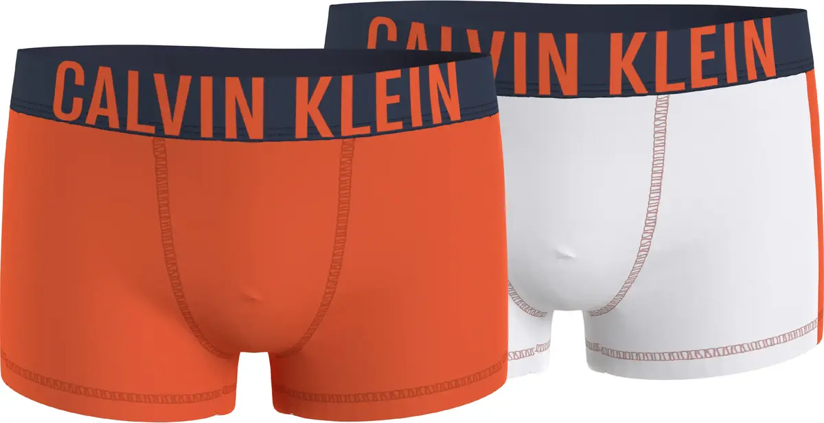 Calvin Klein 2PK TRUNK Erkek Turuncu Boxer Set