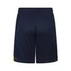 Puma Fenerbahçe Shorts Medieval Blue Unisex Futbol Şort