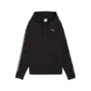 Puma ESS GRAPHIC Animal Hoodie Siyah Kadın Sweatshirt