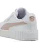 Carina 3.0